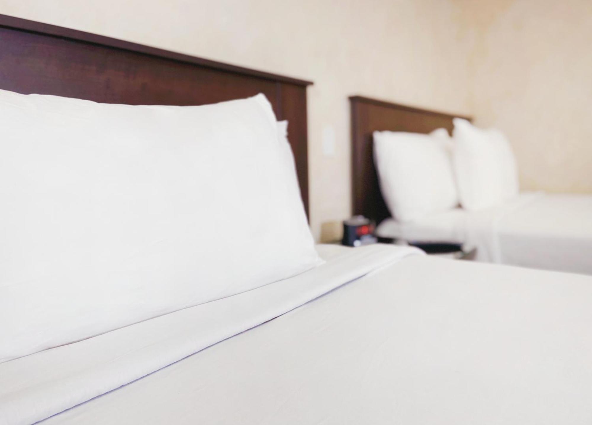 Nite Inn At Universal City - Walking Distance To Universal Studios Hollywood Los Angeles Buitenkant foto